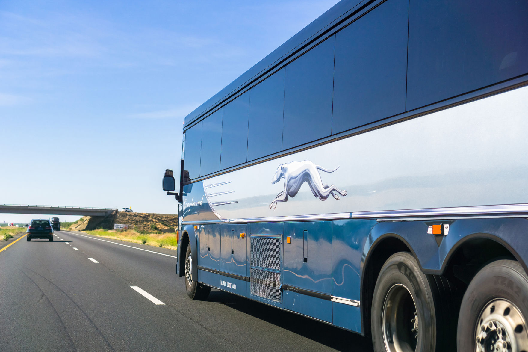 Greyhound bus